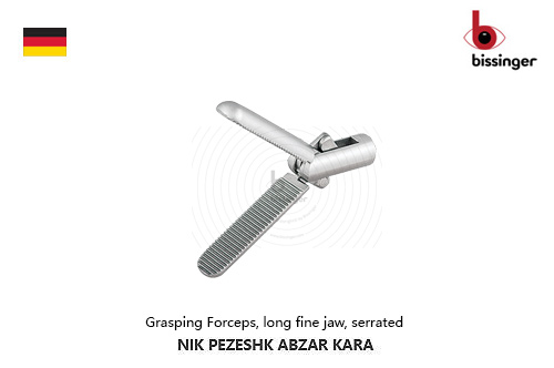 اينسرت چنگکی، فک بلند و ظریف، دندانه‌دار