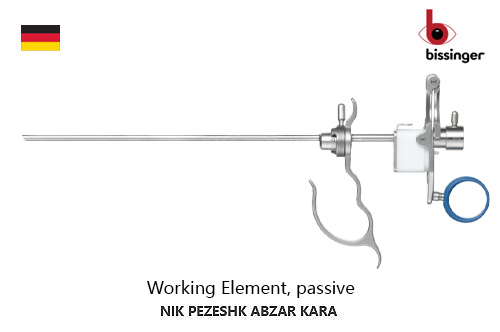 ورکينگ-المنت-پسيو-بايپولار-بيسينگر
